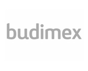 Budimex